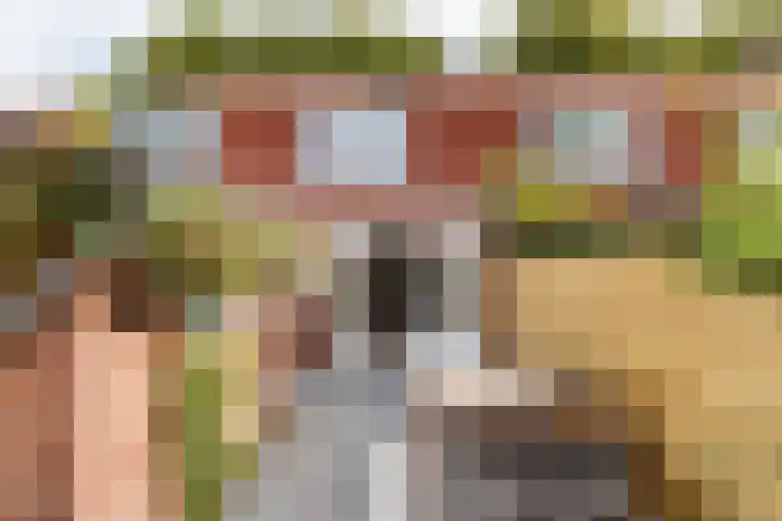 Royaards van den Hamkade 74 Utrecht thumbnail 9