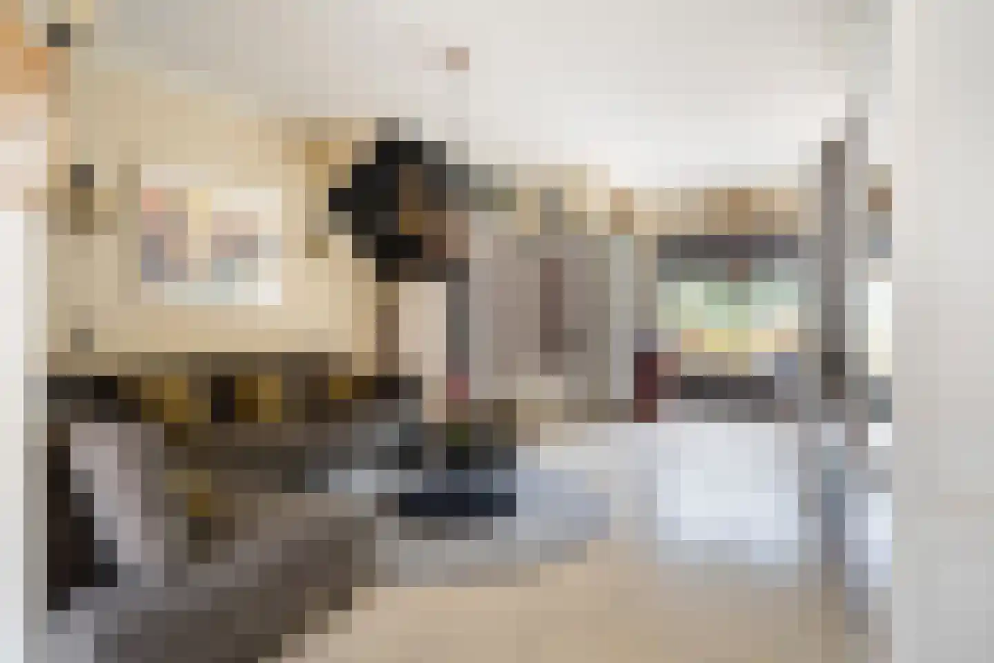 Royaards van den Hamkade 77 Utrecht thumbnail 11