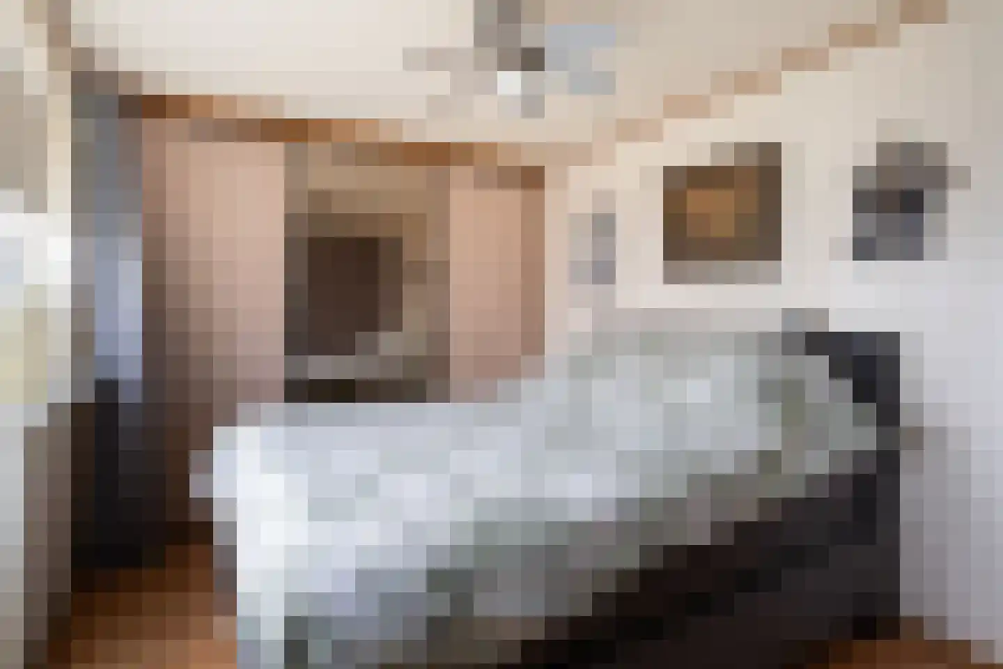 Royaards van den Hamkade 77 Utrecht thumbnail 20