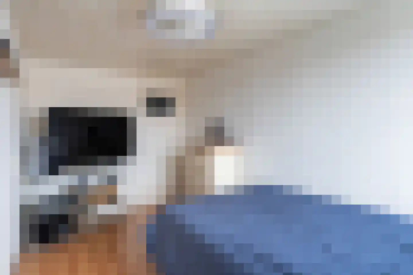 Royaards van den Hamkade 77 Utrecht thumbnail 28