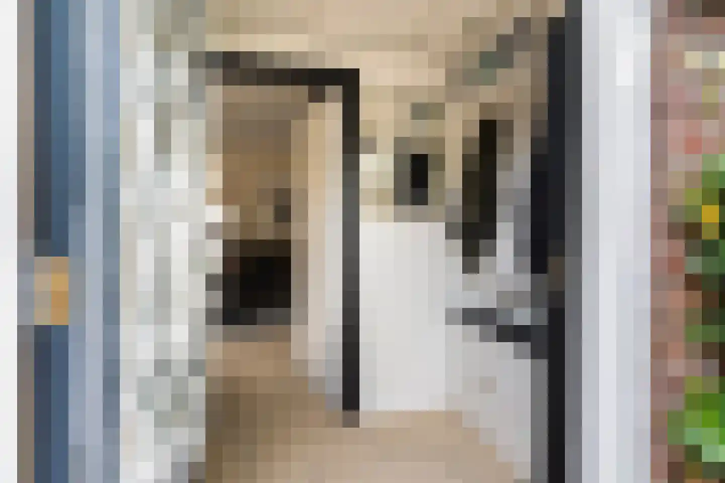 Royaards van den Hamkade 77 Utrecht thumbnail 8