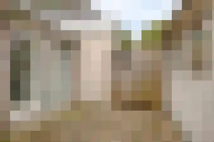 Royaards van den Hamkade 85 Utrecht thumbnail 18
