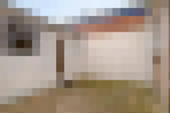 Royaards van den Hamkade 85 Utrecht thumbnail 19