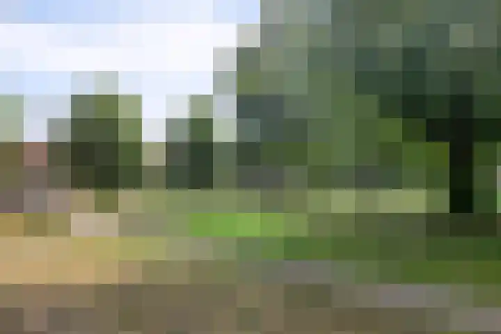 Royaards van den Hamkade 85 Utrecht thumbnail 4