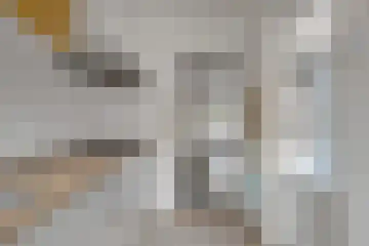 Royaards van den Hamkade 85 Utrecht thumbnail 8