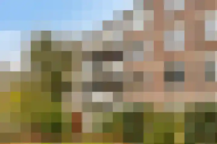 Royaardsplein 106 Schiedam thumbnail 4