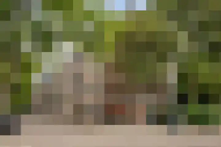 Royaardsplein 2 Schiedam thumbnail 31