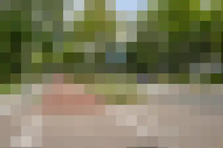 Royaardsplein 2 Schiedam thumbnail 33