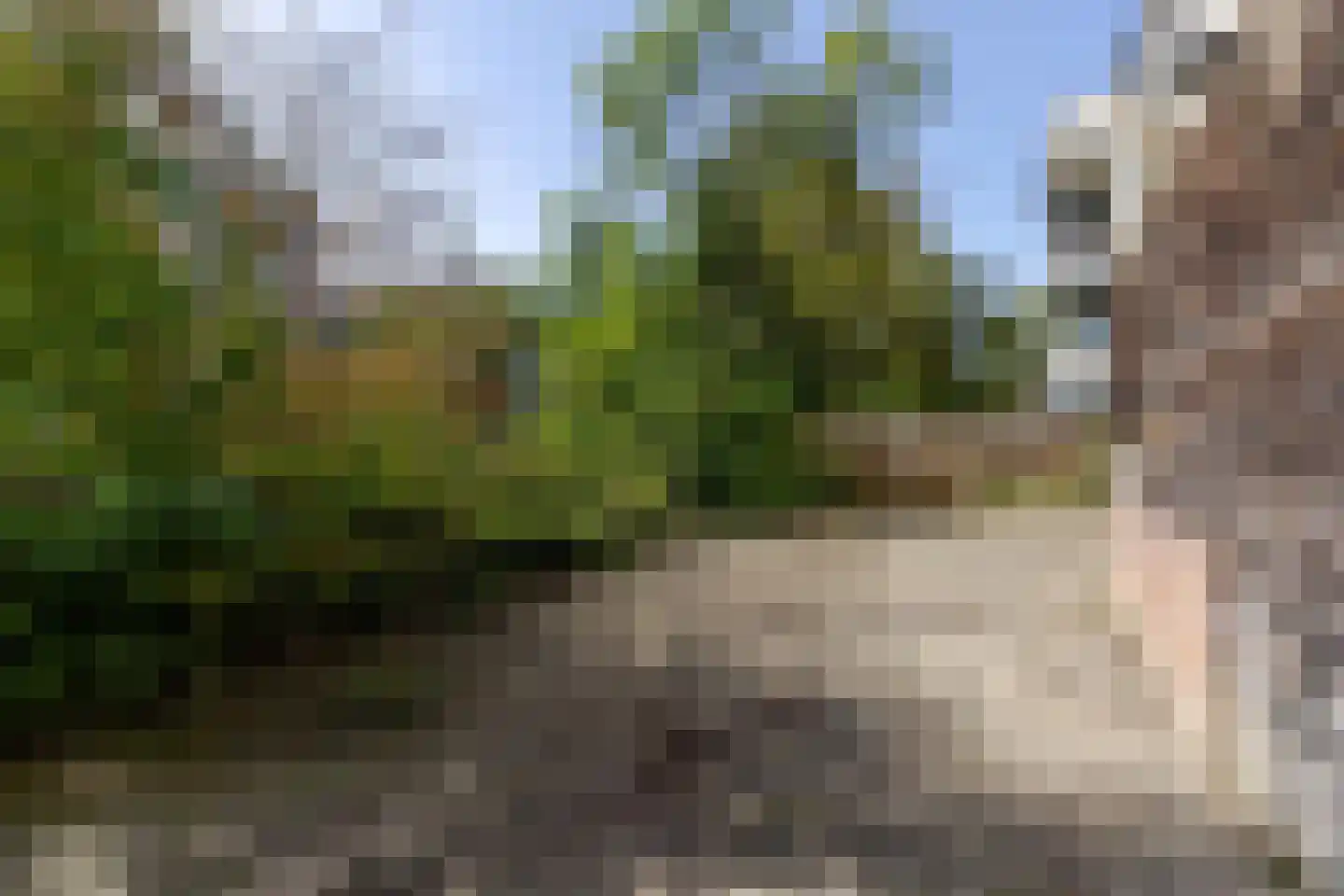 Royaardsplein 44 Schiedam thumbnail 23