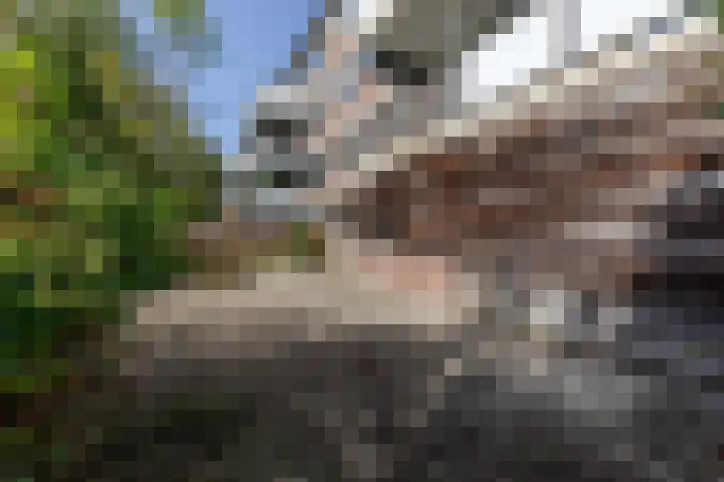 Royaardsplein 44 Schiedam thumbnail 25