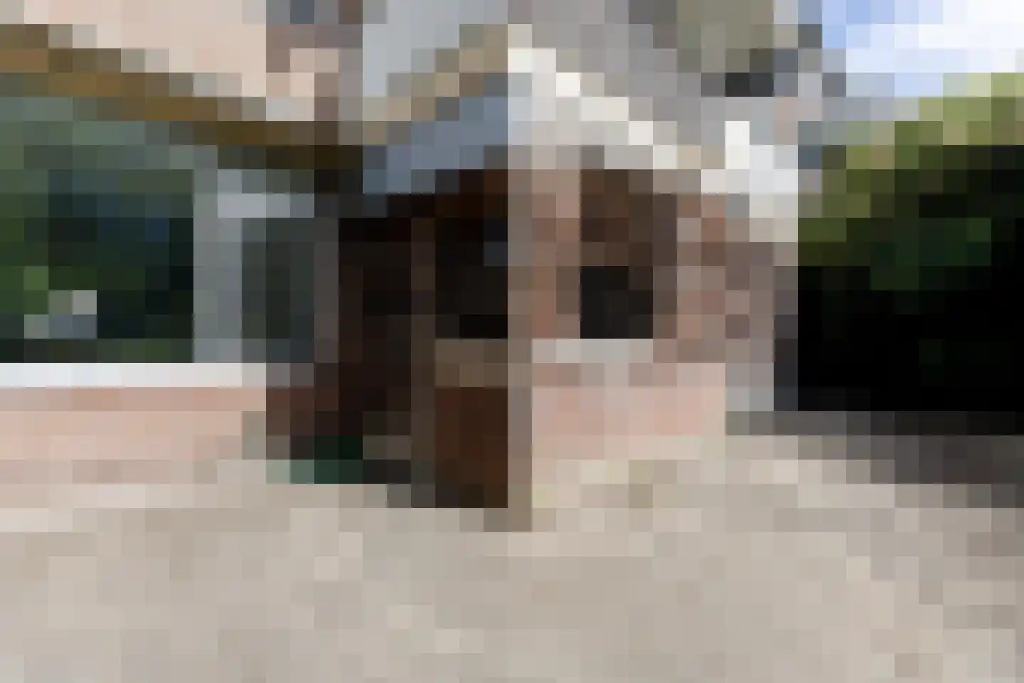 Royaardsplein 44 Schiedam thumbnail 26