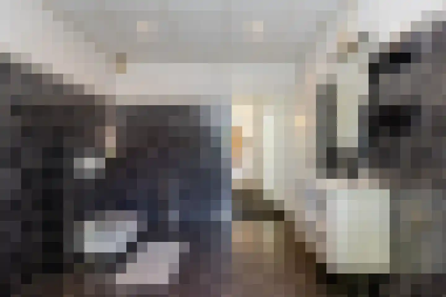Royaardsplein 44 Schiedam thumbnail 32