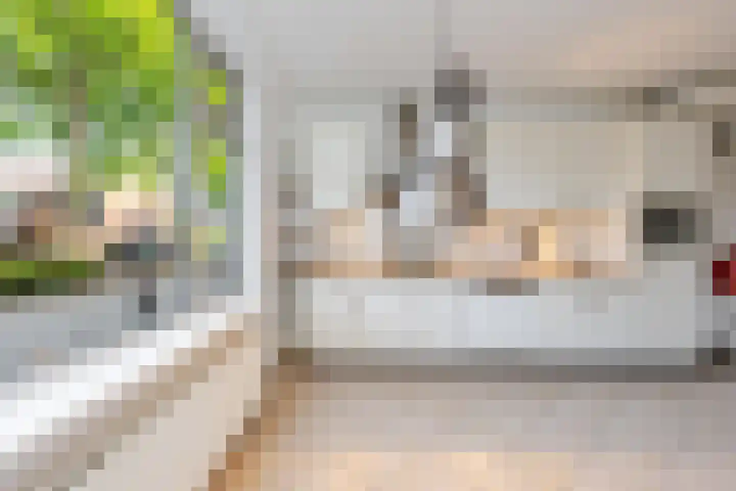 Royaardsplein 44 Schiedam thumbnail 4