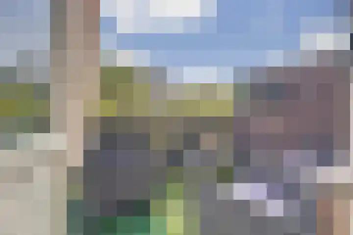 Royaardsplein 50 Schiedam thumbnail 33