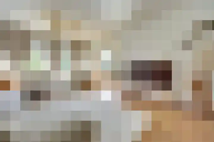 Royaardsplein 50 Schiedam thumbnail 7