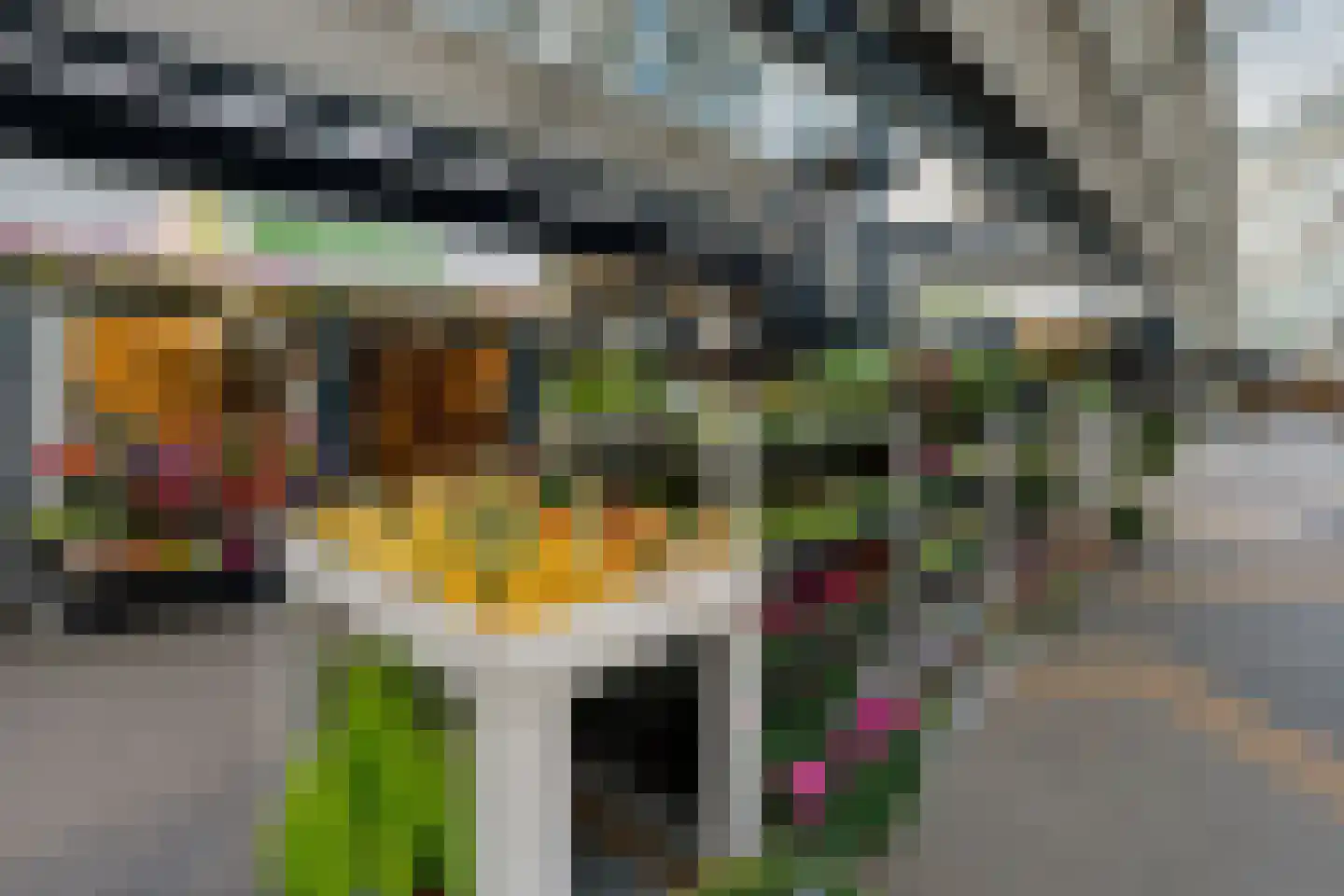 Royaardsplein 60 Schiedam thumbnail 49
