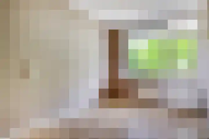 Royaardsplein 86 Schiedam thumbnail 7