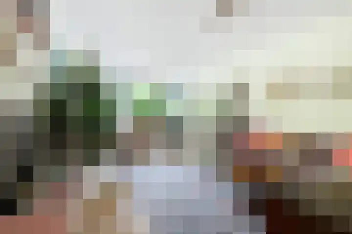 Royaardsplein 88 Schiedam thumbnail 8
