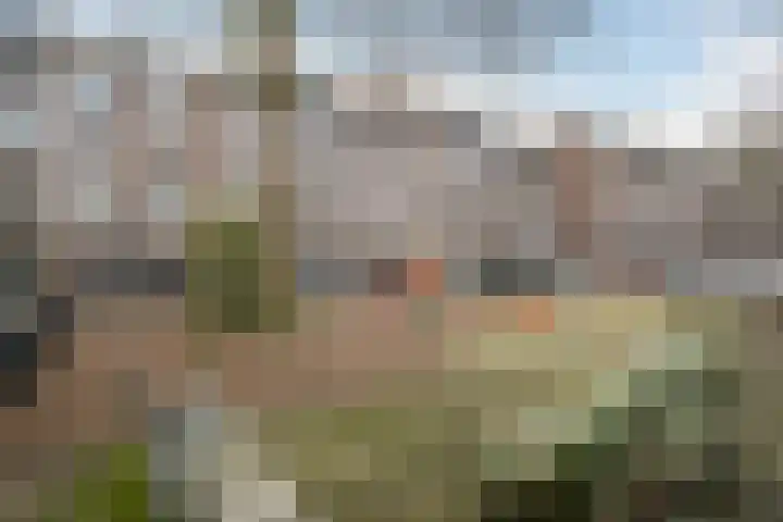 Royaardsplein 94 Schiedam thumbnail 38
