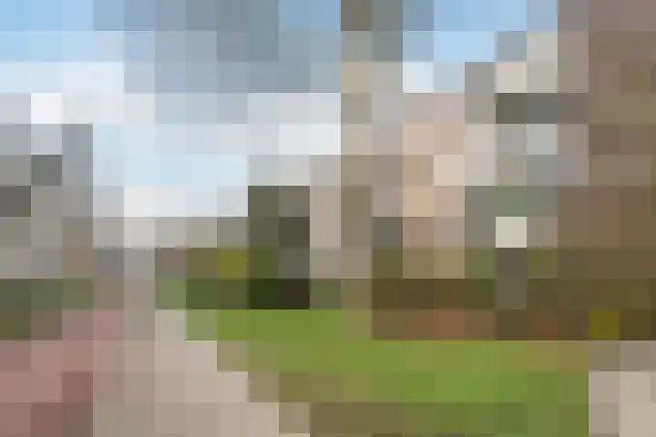 Royaardsplein 94 Schiedam thumbnail 40