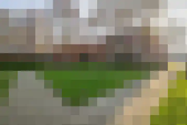 Royenstein 14 Amerongen thumbnail 22