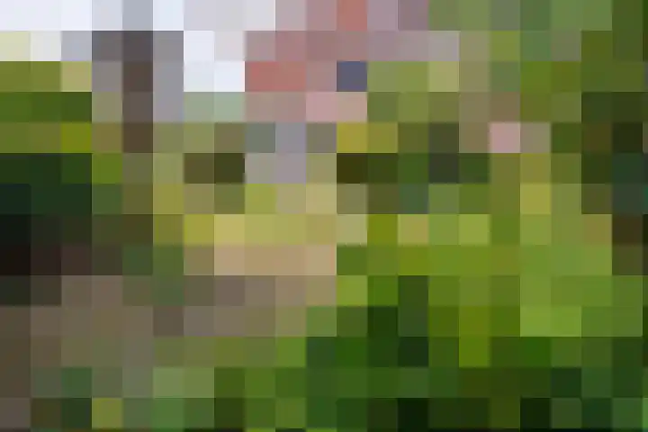 Royenstein 14 Amerongen thumbnail 38