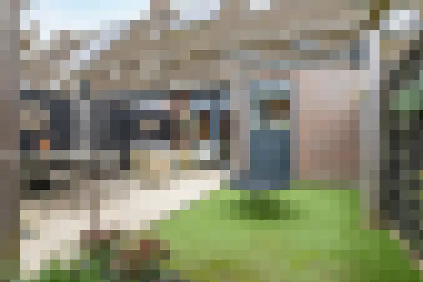 Roze-ven 10 Wormer thumbnail 15