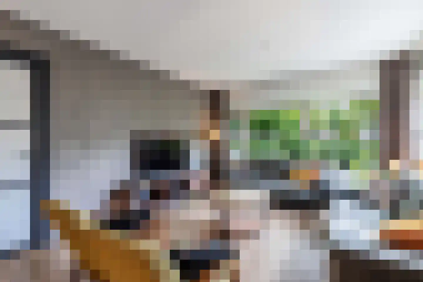 Rozeboom 1 Heino thumbnail 13