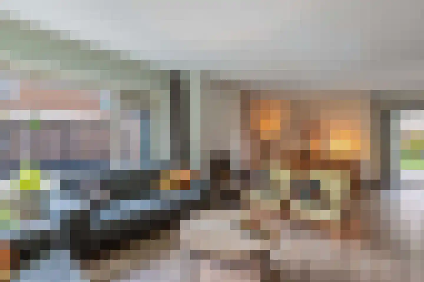 Rozeboom 1 Heino thumbnail 15