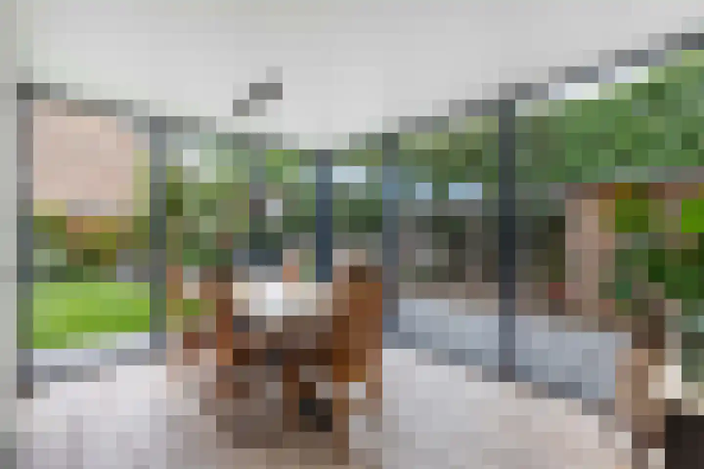 Rozeboom 1 Heino thumbnail 19