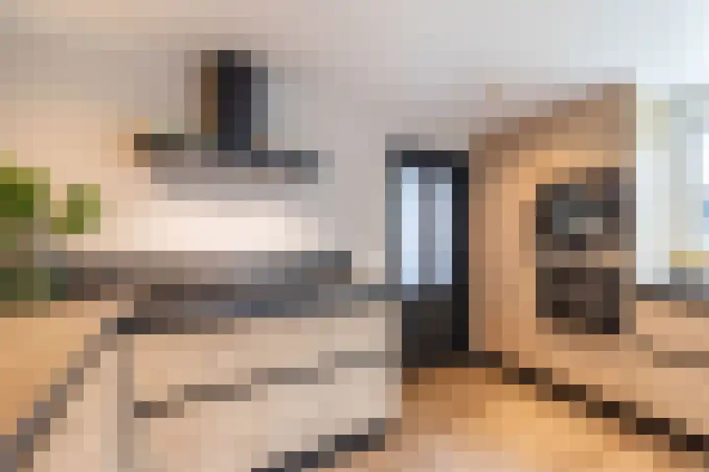Rozeboom 1 Heino thumbnail 23