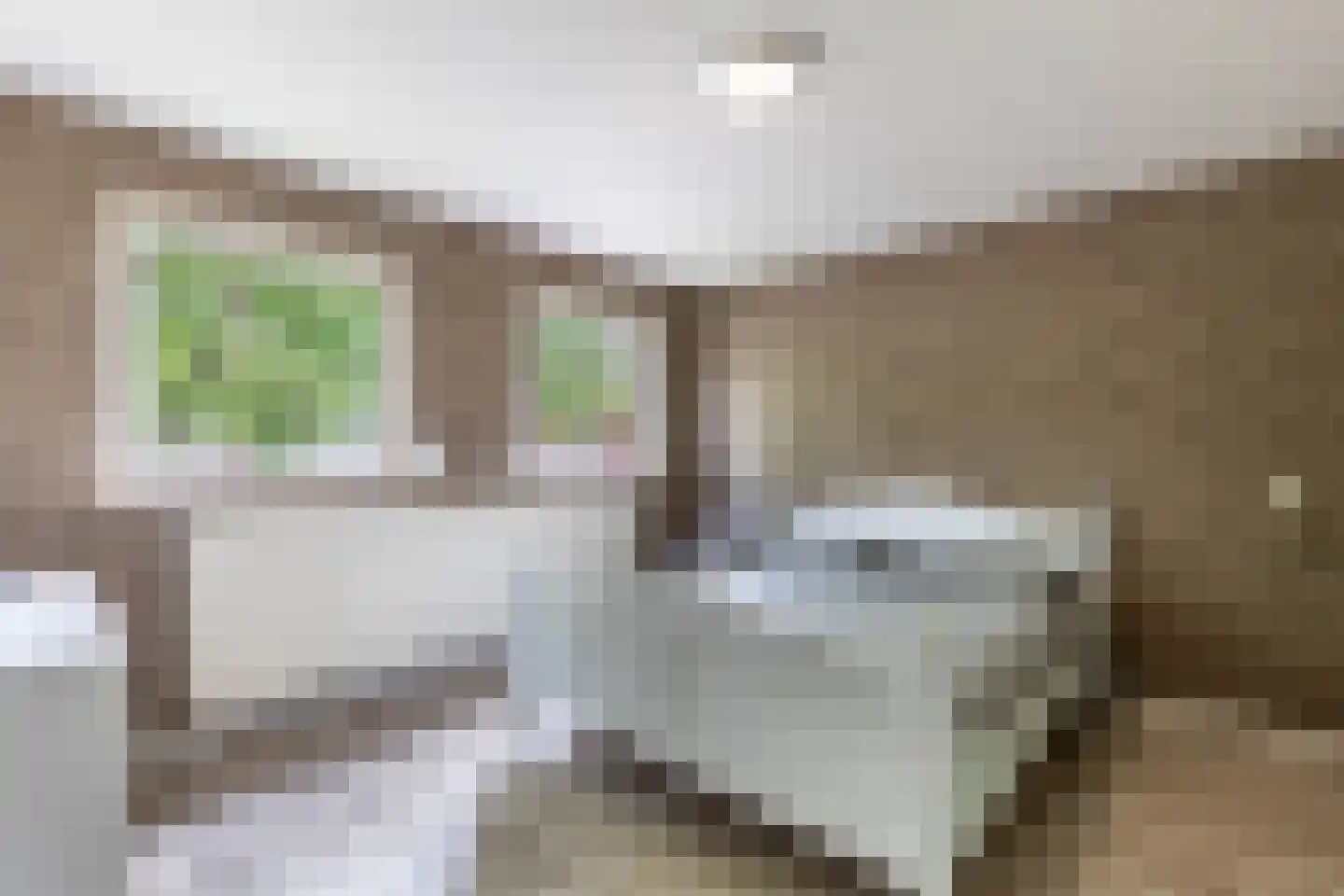 Rozeboom 1 Heino thumbnail 31