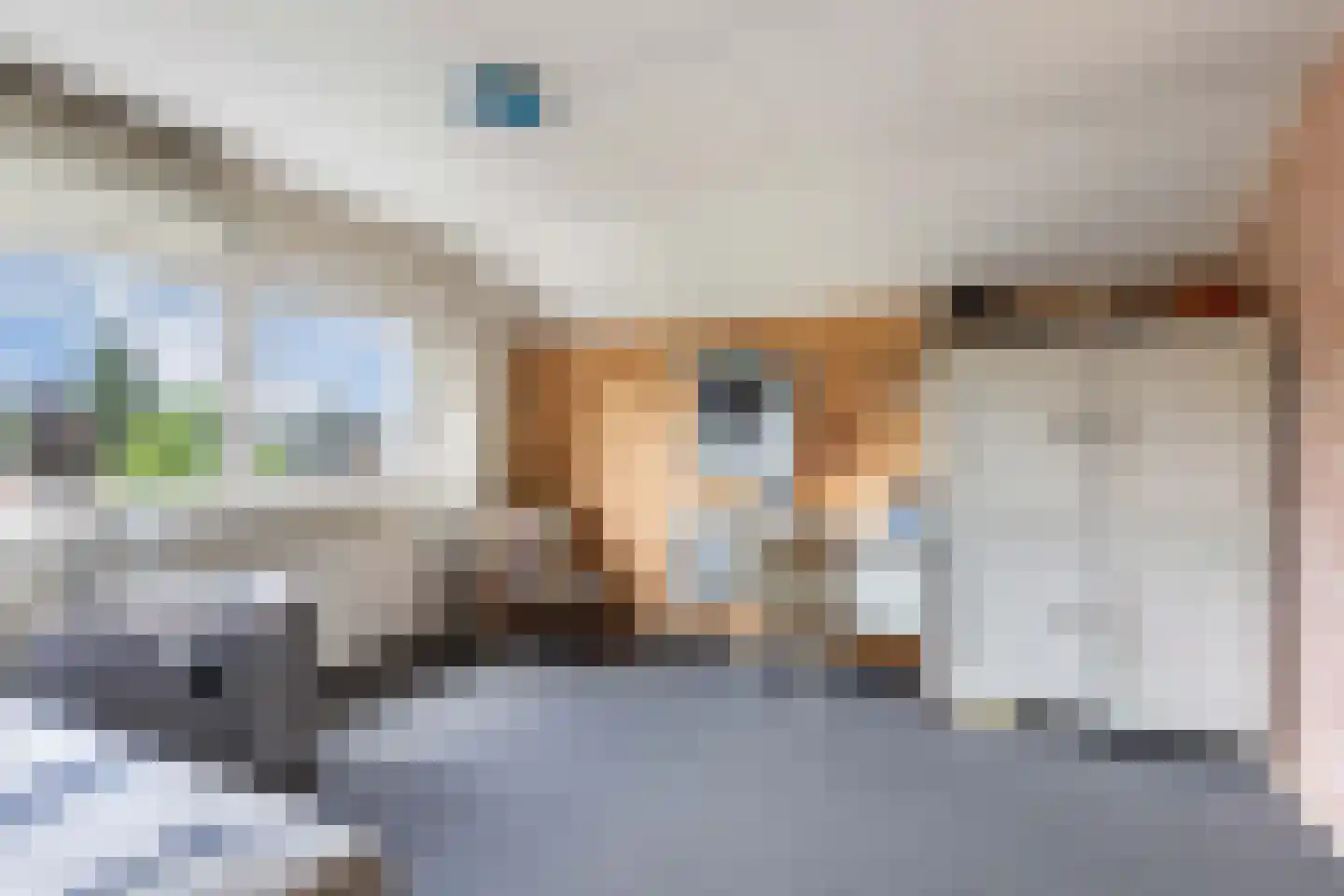 Rozeboom 1 Heino thumbnail 37
