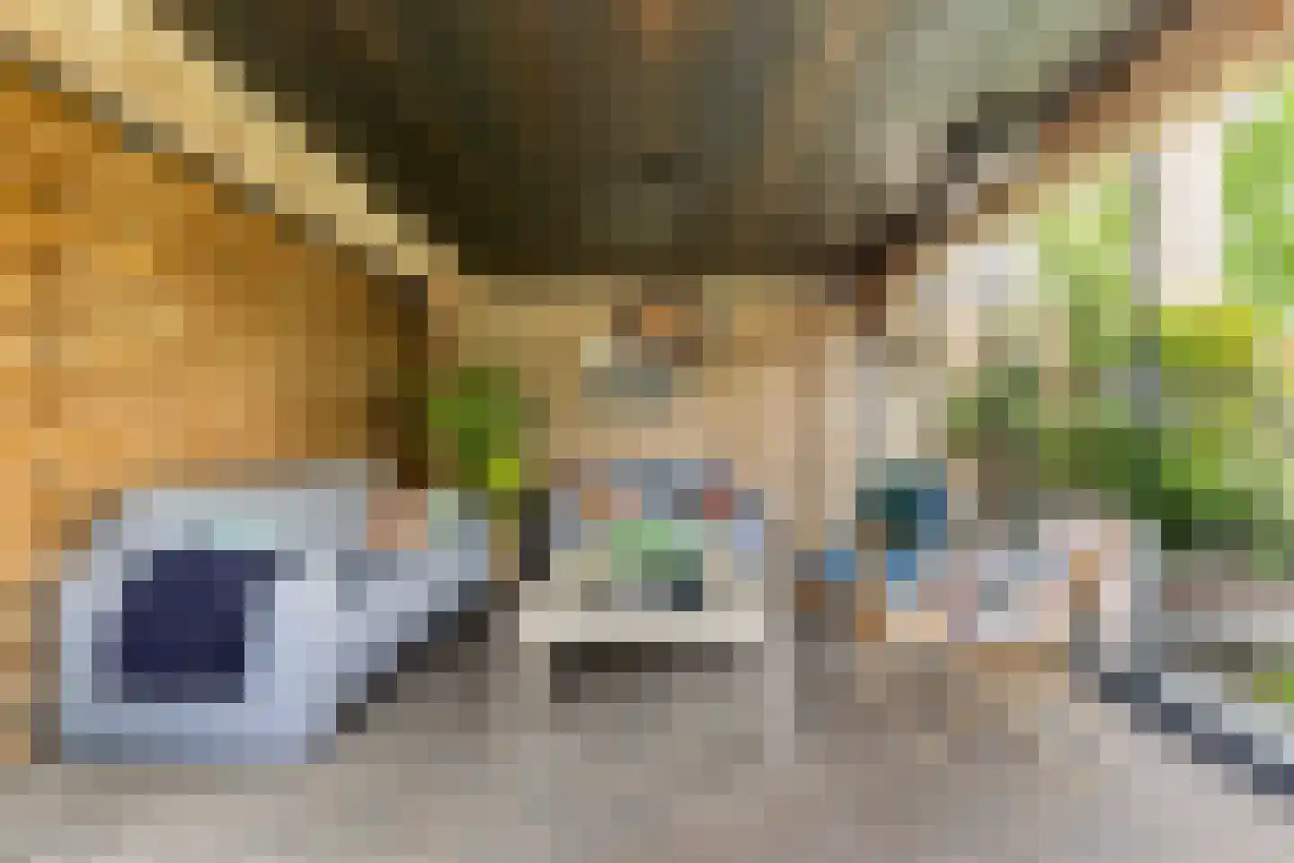 Rozeboom 1 Heino thumbnail 41