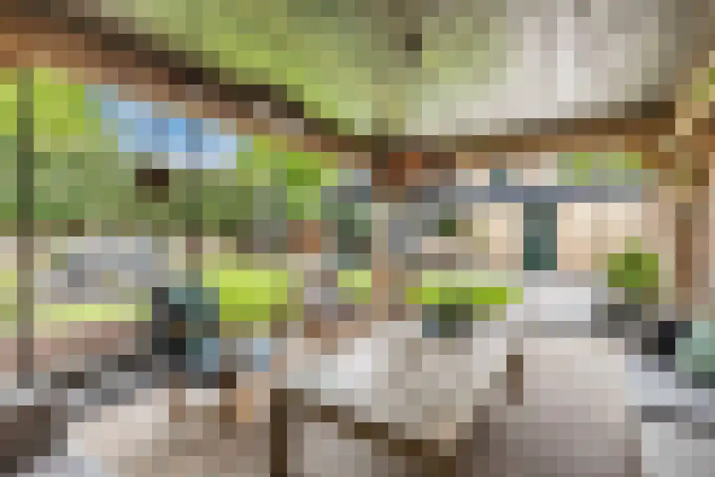 Rozeboom 1 Heino thumbnail 42
