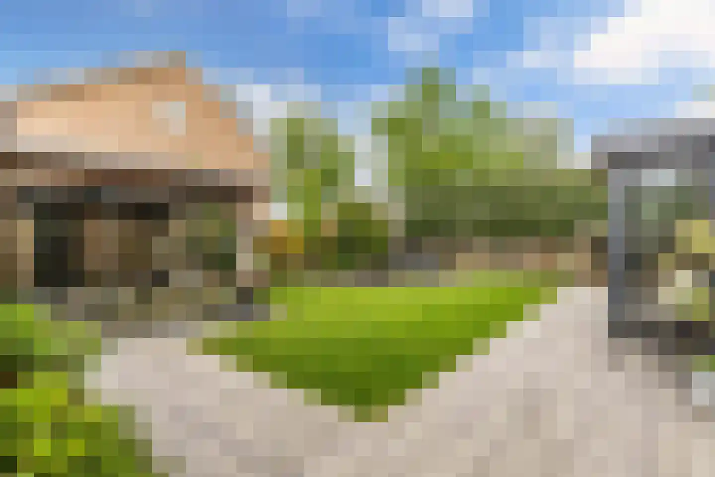 Rozeboom 1 Heino thumbnail 43