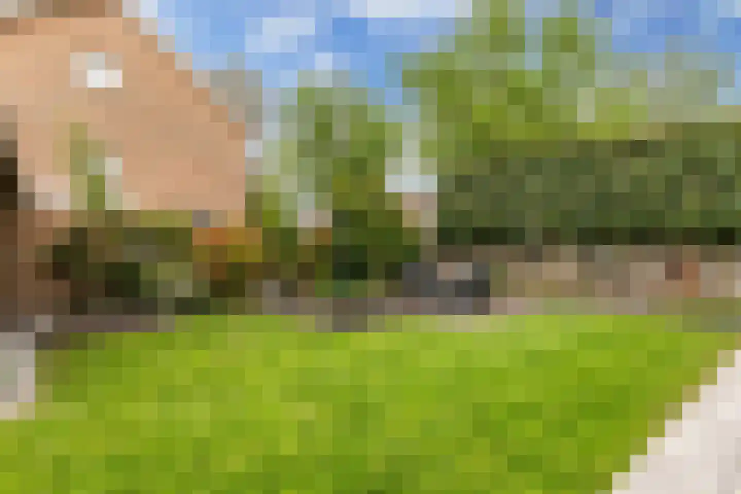 Rozeboom 1 Heino thumbnail 44