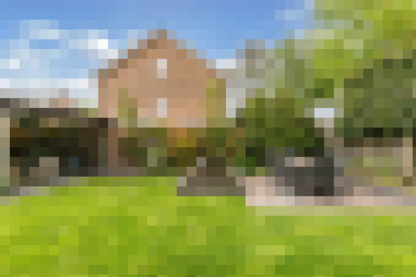 Rozeboom 1 Heino thumbnail 45