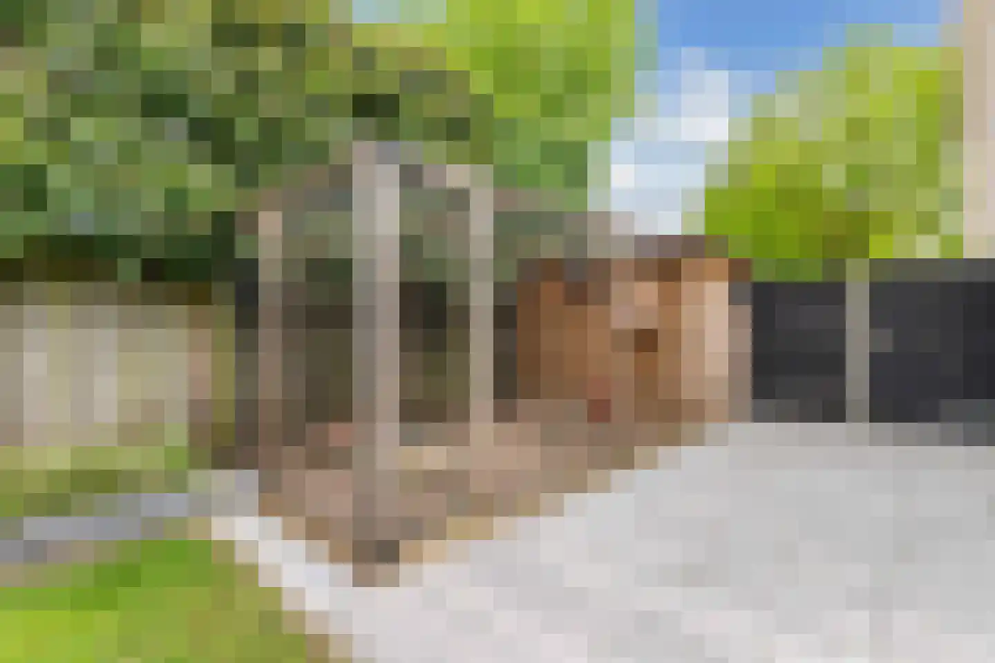 Rozeboom 1 Heino thumbnail 46