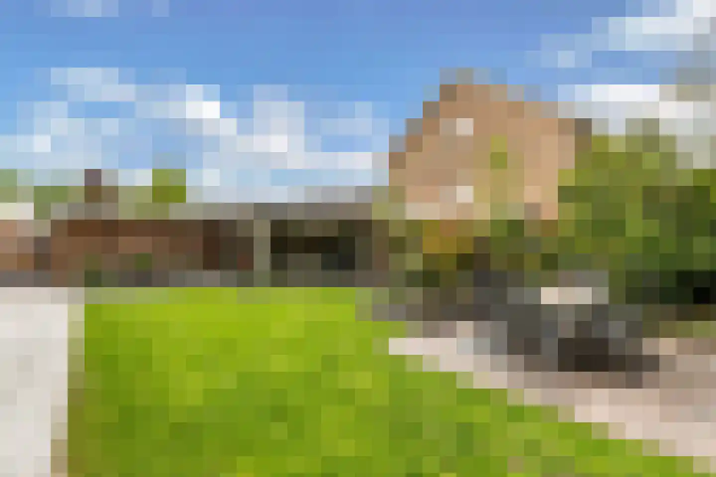 Rozeboom 1 Heino thumbnail 47
