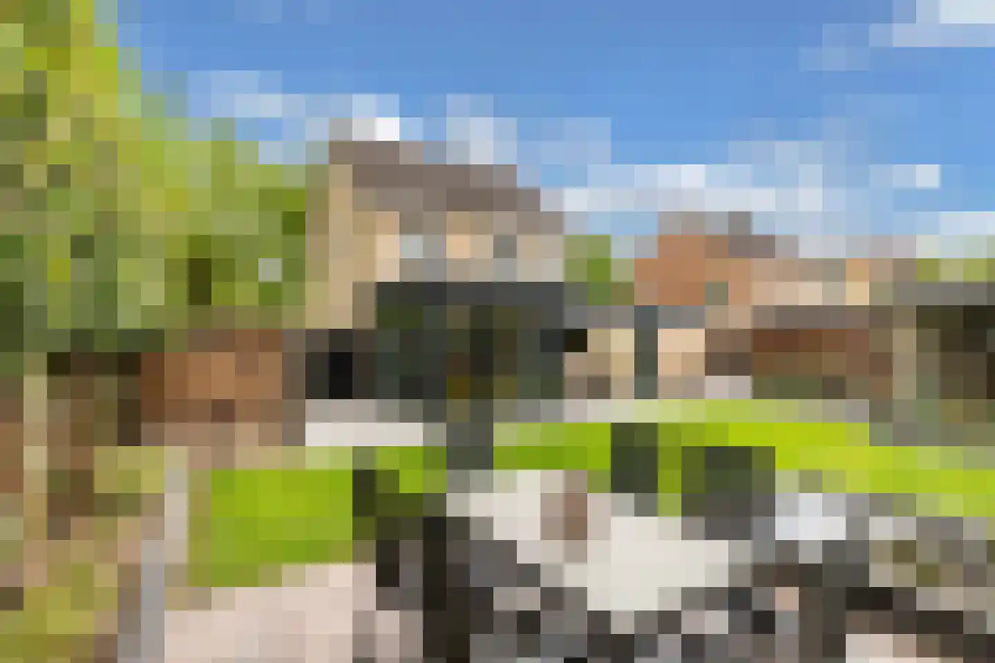 Rozeboom 1 Heino thumbnail 48