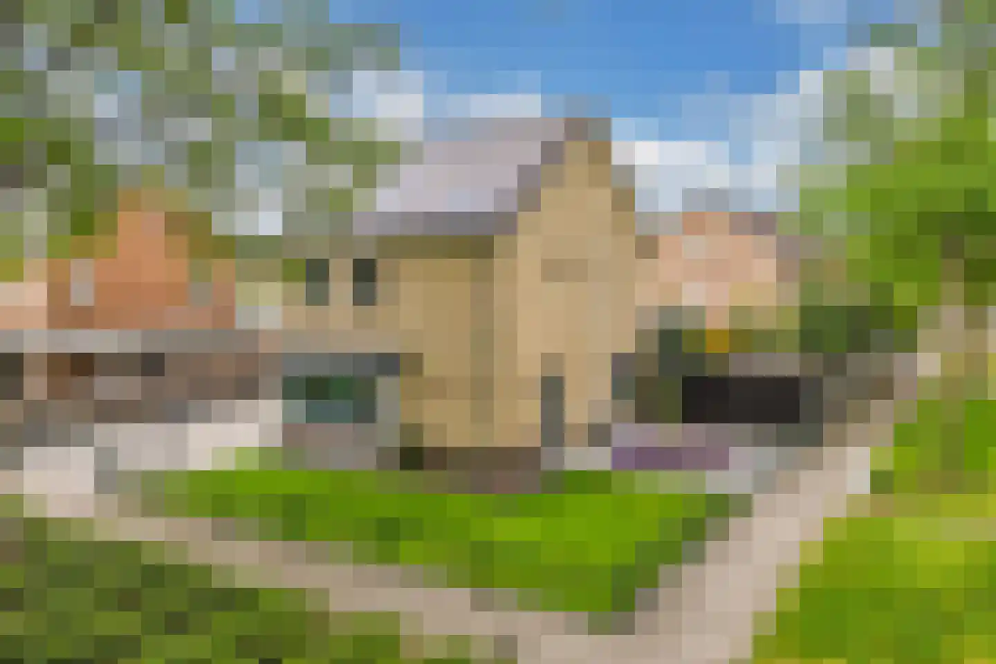 Rozeboom 1 Heino thumbnail 5
