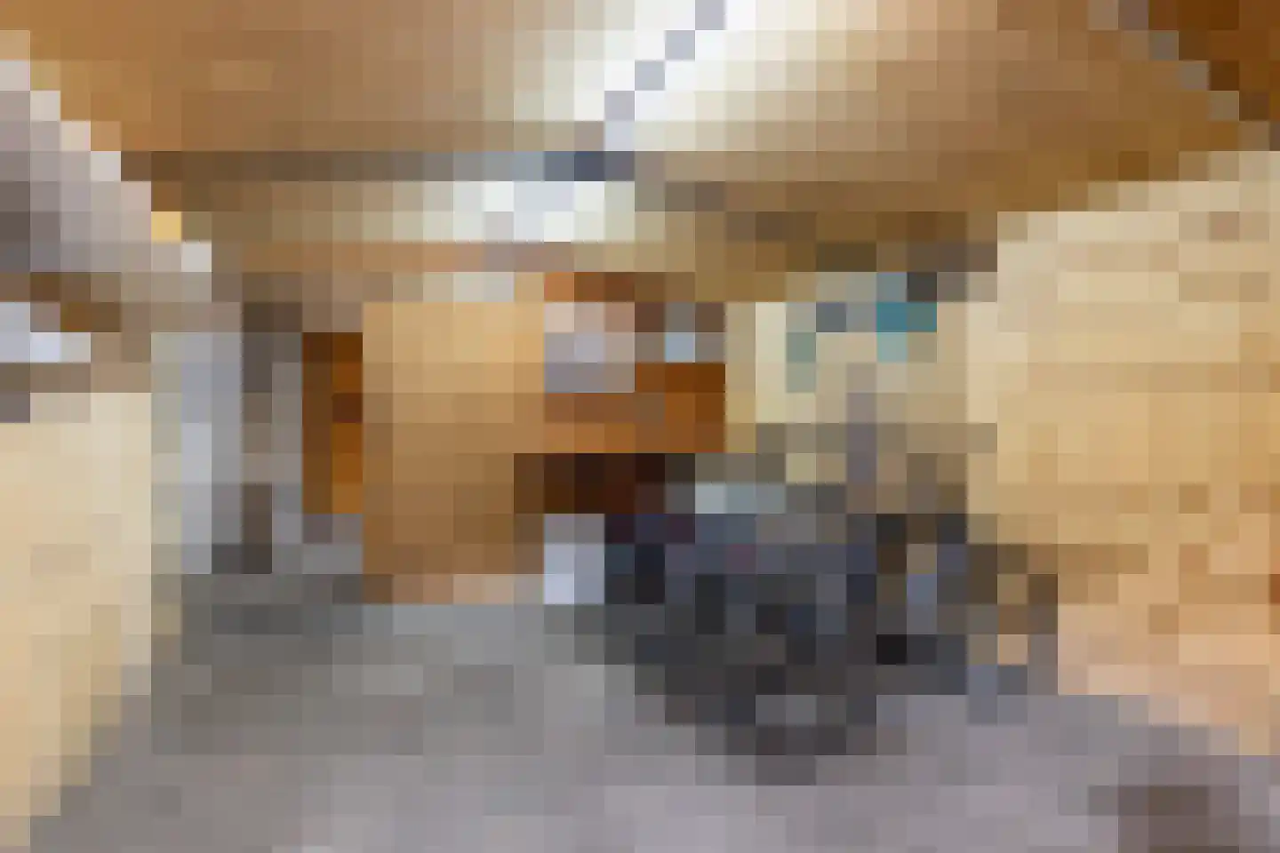Rozeboom 1 Heino thumbnail 51