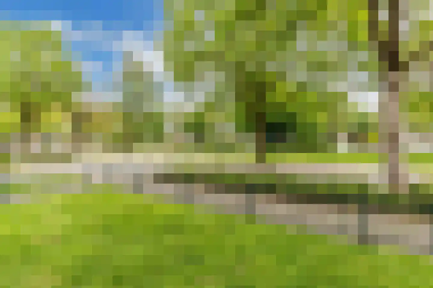 Rozeboom 1 Heino thumbnail 53