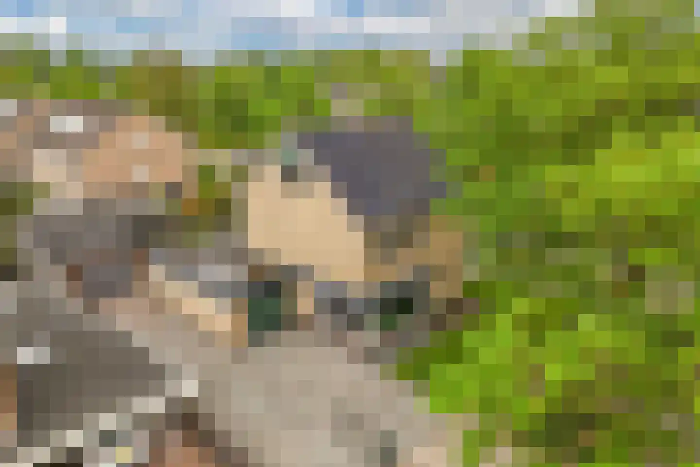 Rozeboom 1 Heino thumbnail 7