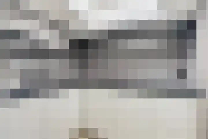 Rozeboom 25 Koog aan de Zaan thumbnail 15