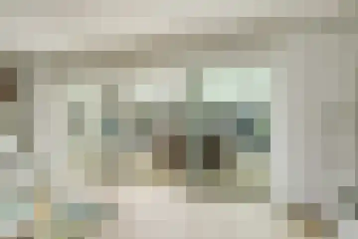 Rozeboom 25 Koog aan de Zaan thumbnail 16