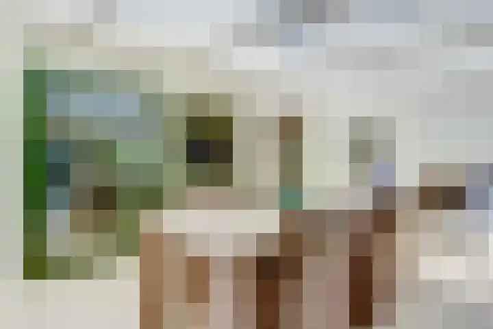 Rozeboom 25 Koog aan de Zaan thumbnail 17