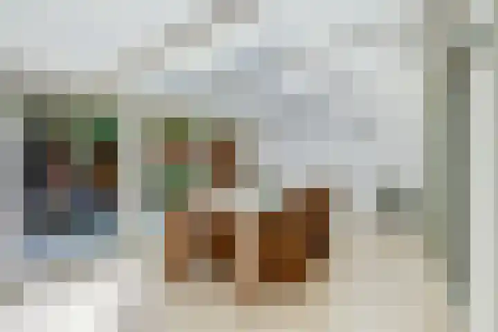 Rozeboom 25 Koog aan de Zaan thumbnail 20