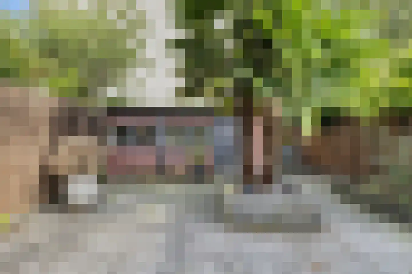 Rozeboom 25 Koog aan de Zaan thumbnail 25